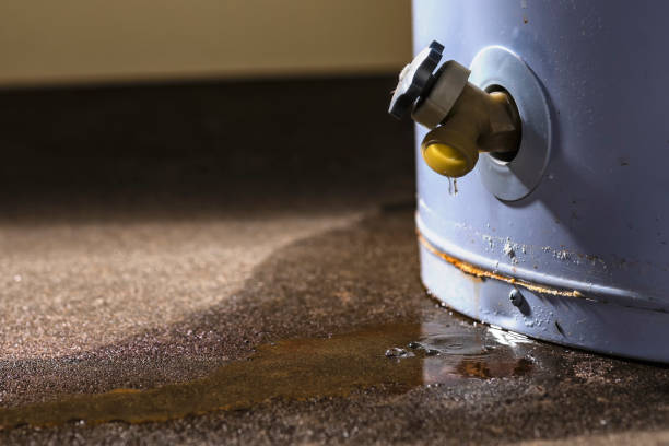 Best Sewage cleanup and water damage restoration  in Laton, CA