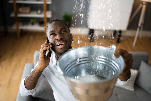 Best Water damage contractors near me  in Laton, CA