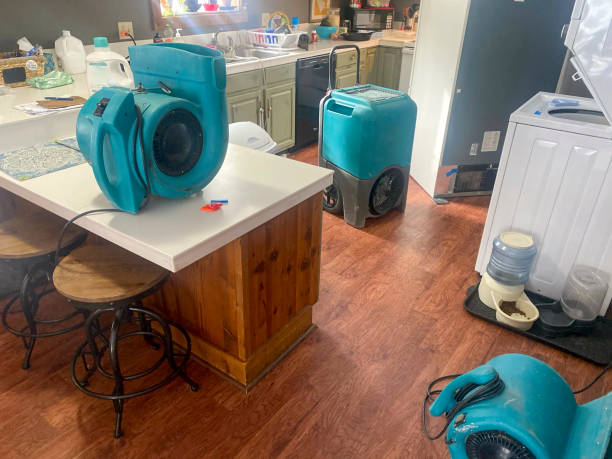 Best Water damage restoration cost  in Laton, CA