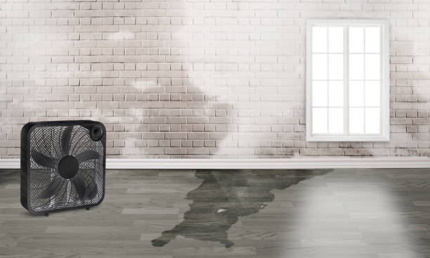 Professional Water damage restoration in Laton, CA