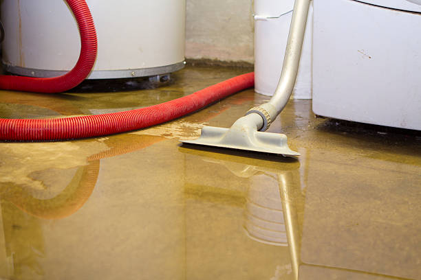 Best Professional water damage repair  in Laton, CA